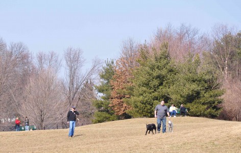 Many St Louis residents enjoy having a place to let their dogs run loose, Clayton residents hope to install a park similar to the Creve Coeur Dog Park. (Zach Praiss)