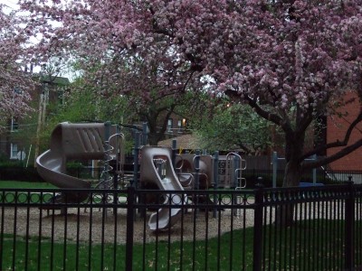 Demun Park is one of the many popular attractions among children in St. Louis, along with the City Museum and Forest Park. Several Clayton High School students who have grown up in the St. Louis area fondly remember going to these places regularly. (Madeleine Fleming)