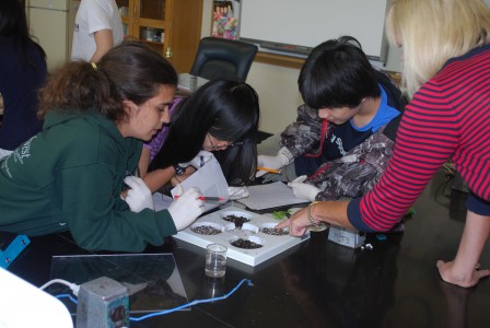 AP Biology teacher Sally Lazaroff helps juniors make observations in a lab. (Paul Lisker)