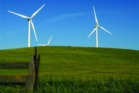 Wind turbines from Blue Grass Ridge Wind Farm in Kings City, MO, one of many wind farms that AmerenUE has supported through its Pure Power program. Clayton partnered with Ameren and Microgrid Energy last spring to begin the process of becoming a Green Power Community. (Jeff Gibbs)