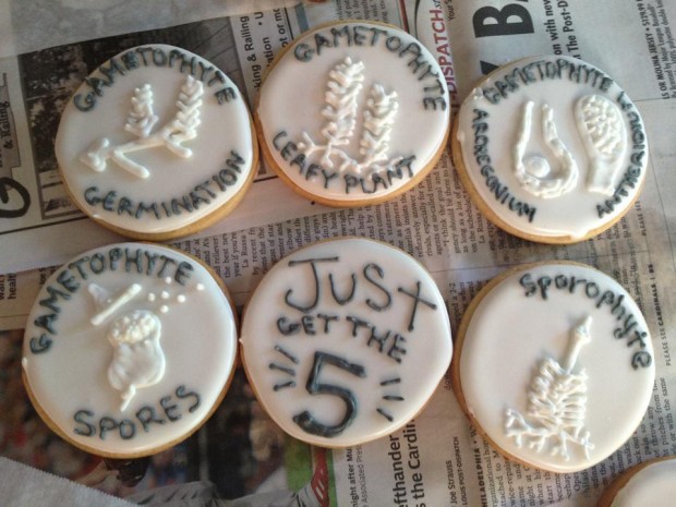 These Biology cookies are just a taste, so to speak, of what Garrick can do with royal icing.