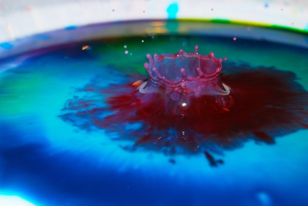 A drop of milk frozen in time. This was taken by releasing milk into a pan colored with food dye. Photo by William Wysession.