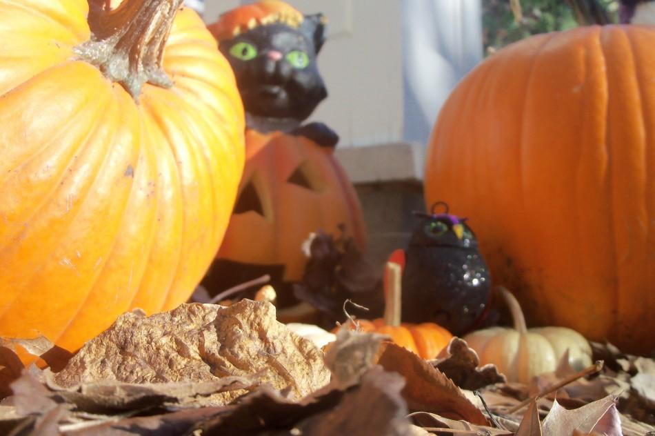 As October comes to an end, Halloween marks the beginning of the holiday season.  Pumpkins, skeletons and ghosts are popping up around Clayton in preparation for tomorrow night.  