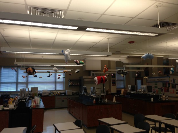 Mrs. Falkoff hangs moles from the ceiling. (Photo by Peter Shumway)
