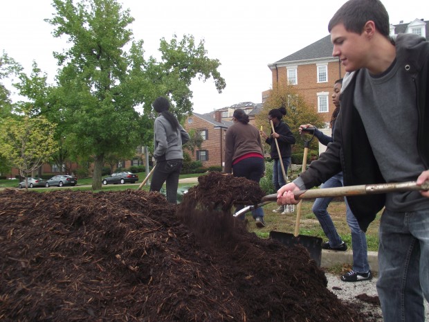 Clayton student shovels mulch, contributing to the efforts of Beautification Day.