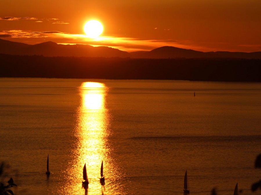 Featured Photo: Sailboats at Sunset 