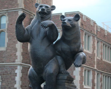 The bears outside Washington Universitys Athletic Complex