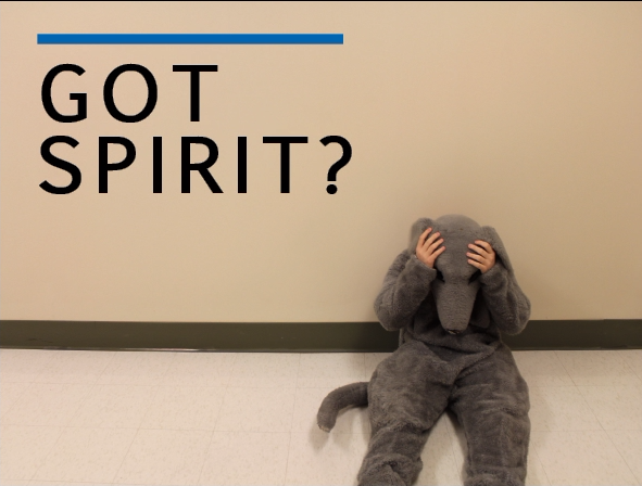 Got Spirit?