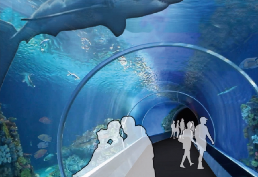 Concept design of an underwater area of the aquarium. (Photo from Lodging Hospitality Management).