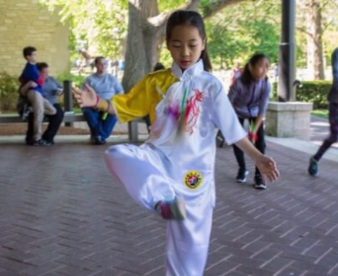 Chinese Cultural Festival