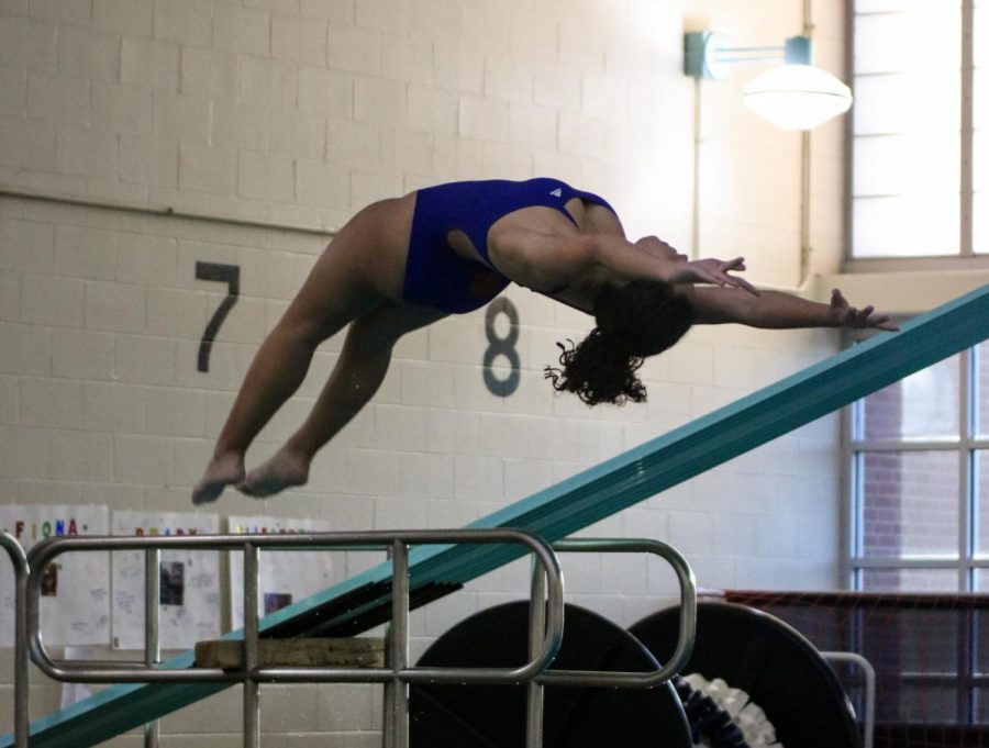 Brooke Becker practicing her diving.