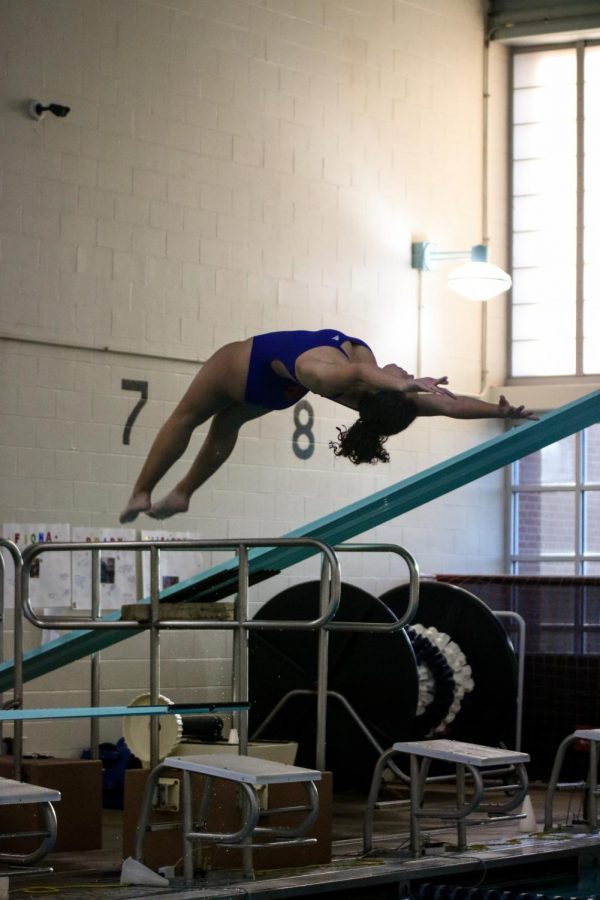 Brooke Becker practicing her diving.