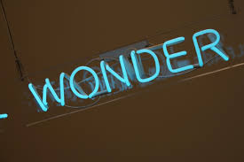 Wonder