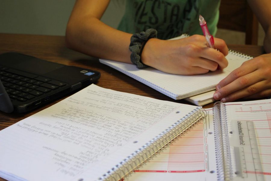 Clayton High School student working hard on homework.