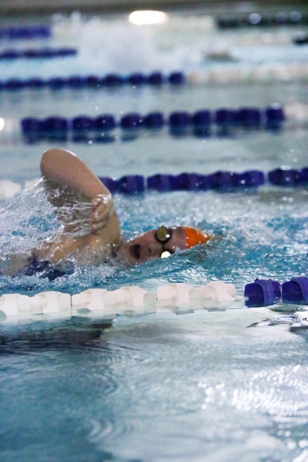 Senior Elizabeth Miller competes in a freestyle event at a swim meet.
