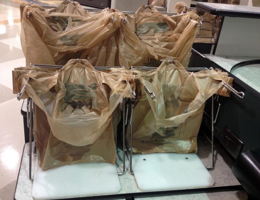 Plastic grocery bags like these are one of the biggest contributors to pollution.