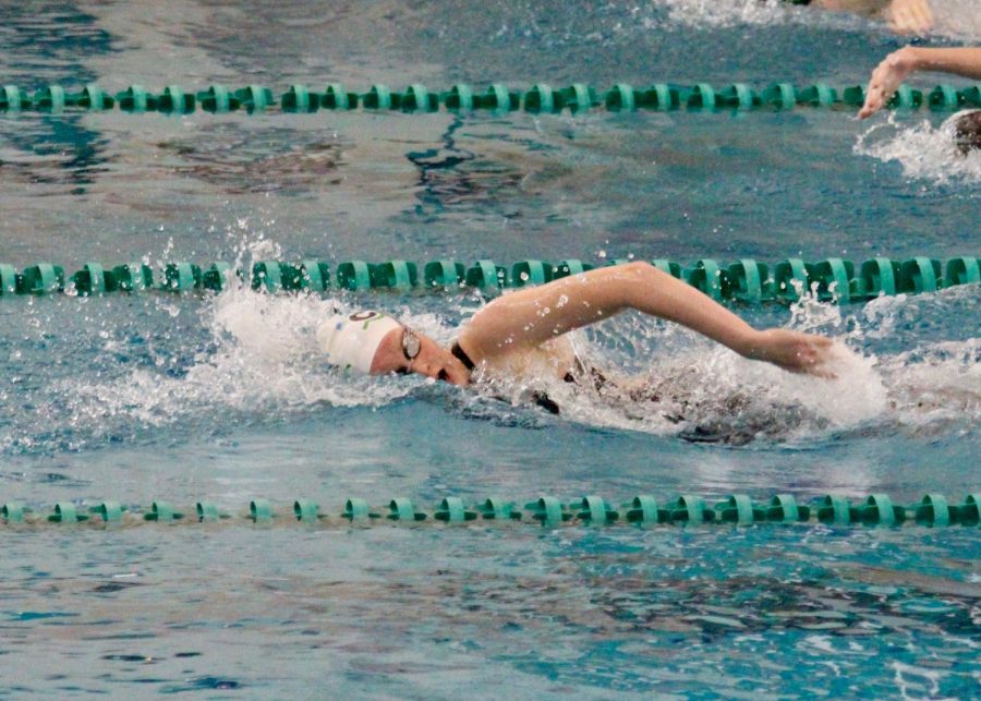 Mottl competes in a freestyle swimming event during a swim meet.