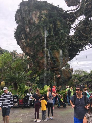 The Quinns post for a photo together in Animal Kingdom in Florida.