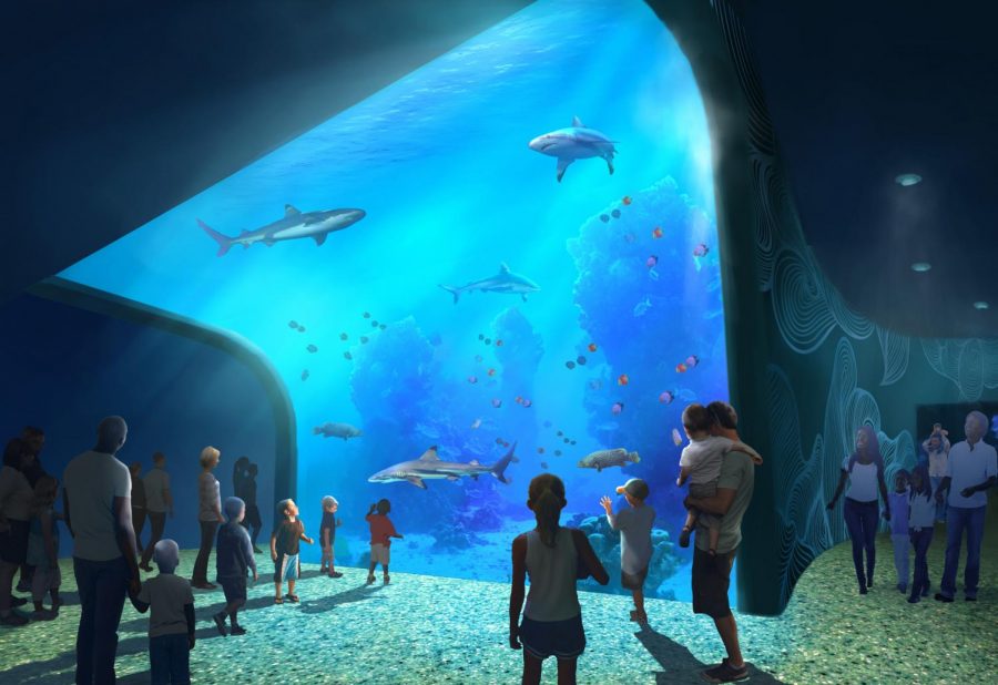 The St. Louis Aquarium is working on several exhibits, one of which is the Shark Canyon, which will include over 30 sharks and rays. 