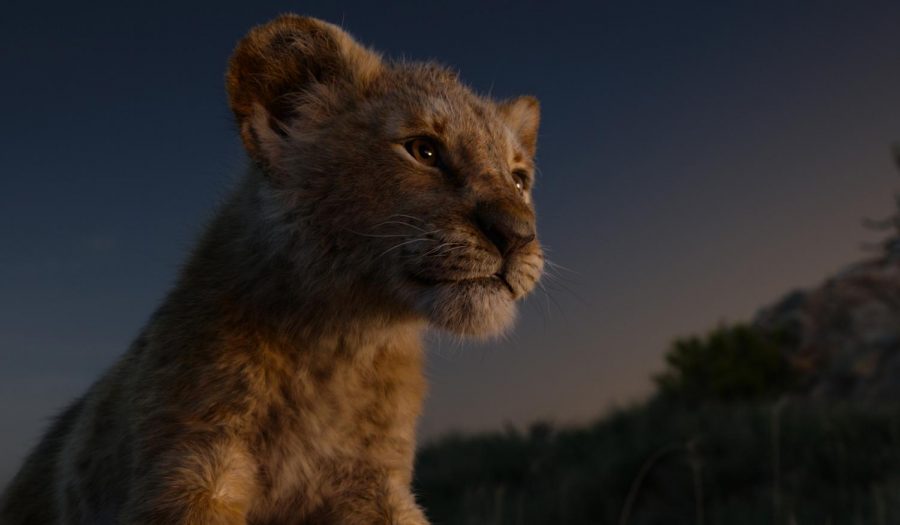Simba in the 2019 remake of "The Lion King"