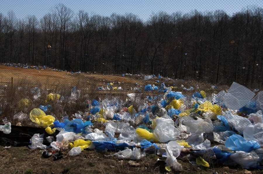 Nathan Dinwiddie, a material handler at the Columbia Material Recovery Facility at
5700 Peabody Road, removes plastic material that doesn’t belong in #1 through #7
plastic recyclables. [Don Shrubshell/Tribune file photo]spell their names correctly