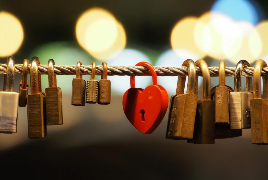 Love_padlocks_on_the_Butchers_Bridge_(Ljubljana)