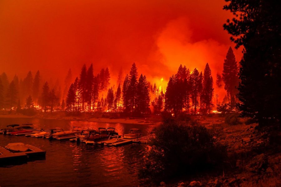 Firefighters conduct a back burn operation along CA-168 during the Creek Fire as it approaches the Shaver Lake Marina on Sunday, Sept. 6, 2020 in Shaver Lake, CA