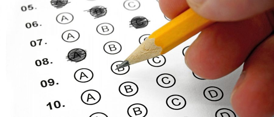 Student bubbles in scantron sheet.