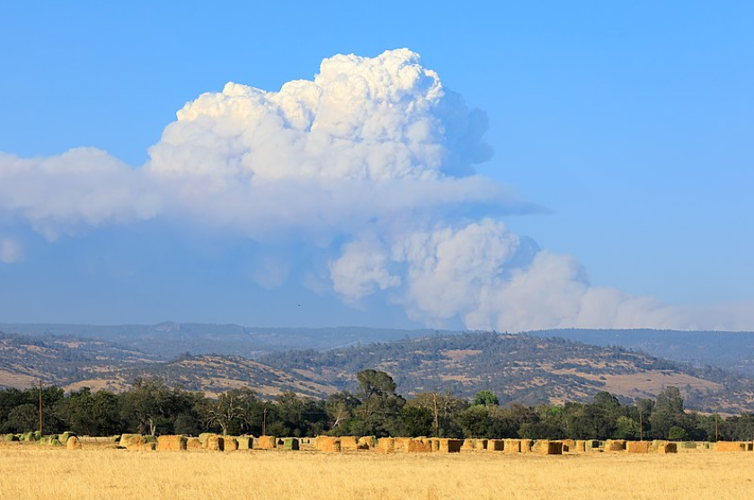 The Dixie fire in Plumas and Butte counties forms a massive cloud.  In July, the fire surpassed 100,000 acres, becoming the second California wildfire in 2021 to ever pass this milestone.