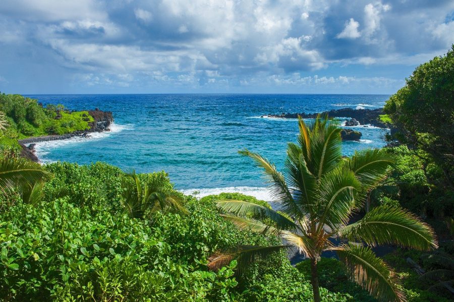 Green and blue are the two main colors that make up planet Earth. But over the last few years, several disasters have affected our environment, and took away some of the green and blue that we once had.