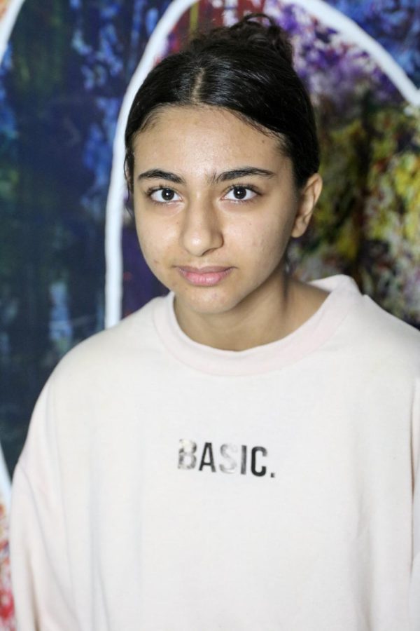 Elisa Falsafi