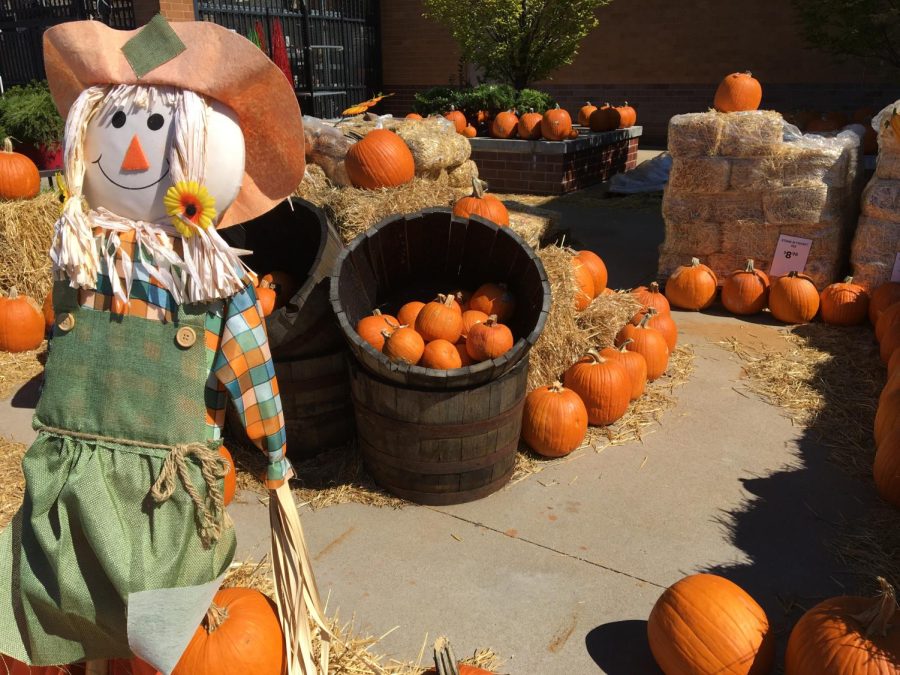 Lowe's pumpkin display