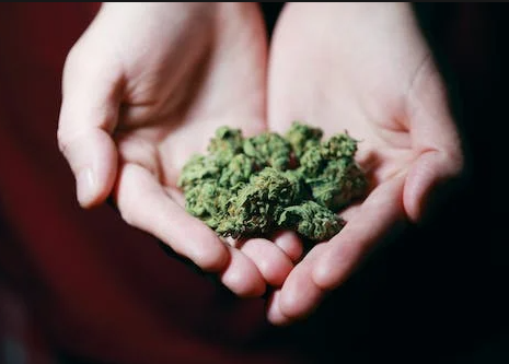 Marijuana Legalization in Missouri