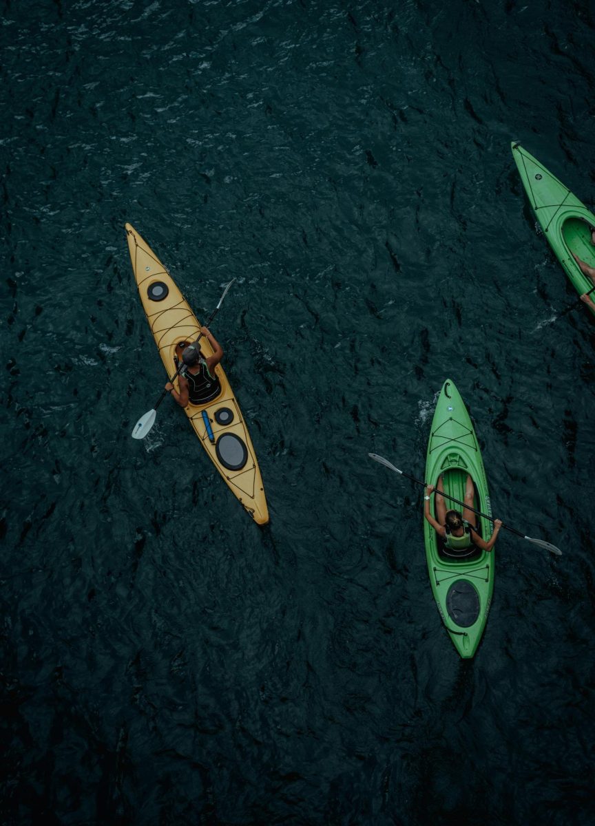 Photo by Devon Divine. Free to use under the Unsplash License.