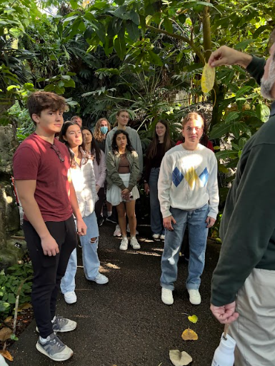 Students in AP World History on their field trip to the Botanical Garden.