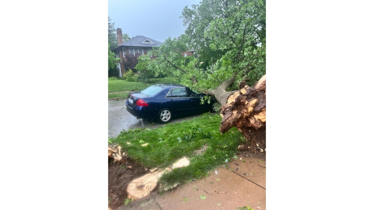 A tree from the storm fell on junior Karl Barthel’s family car, leaving his parents unable to pick him up.
