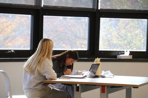 Students do homework in the library during Greyhound Time.