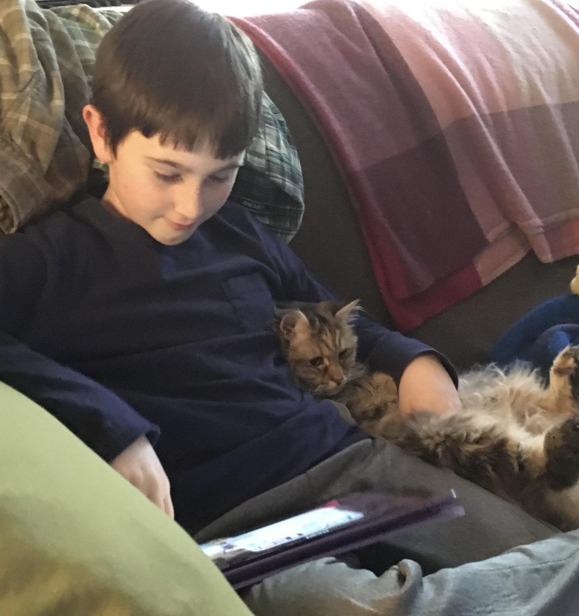 “We recently lost our cat, Roxie. Roxie was kind of my mom's cat. I never got to see her young age, but we loved her. She was very grumpy, but we loved her. Death is an inevitability in life. You're going to experience it in some way. But I think it's something of an insult to a person or thing’s memory, if rather than focusing on all the good memories you have made, you instead mourn for prolonged periods of time. Of course, you mourn. You know someone died, but you have to move on.”
 -Oliver Plein, 10
