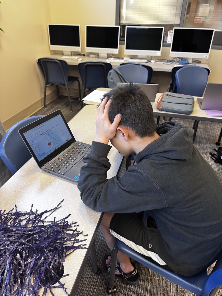 Freshman Justin Zhou groans in despair 
as his Chromebook will not take the number of tabs that he needs to complete his schoolwork.