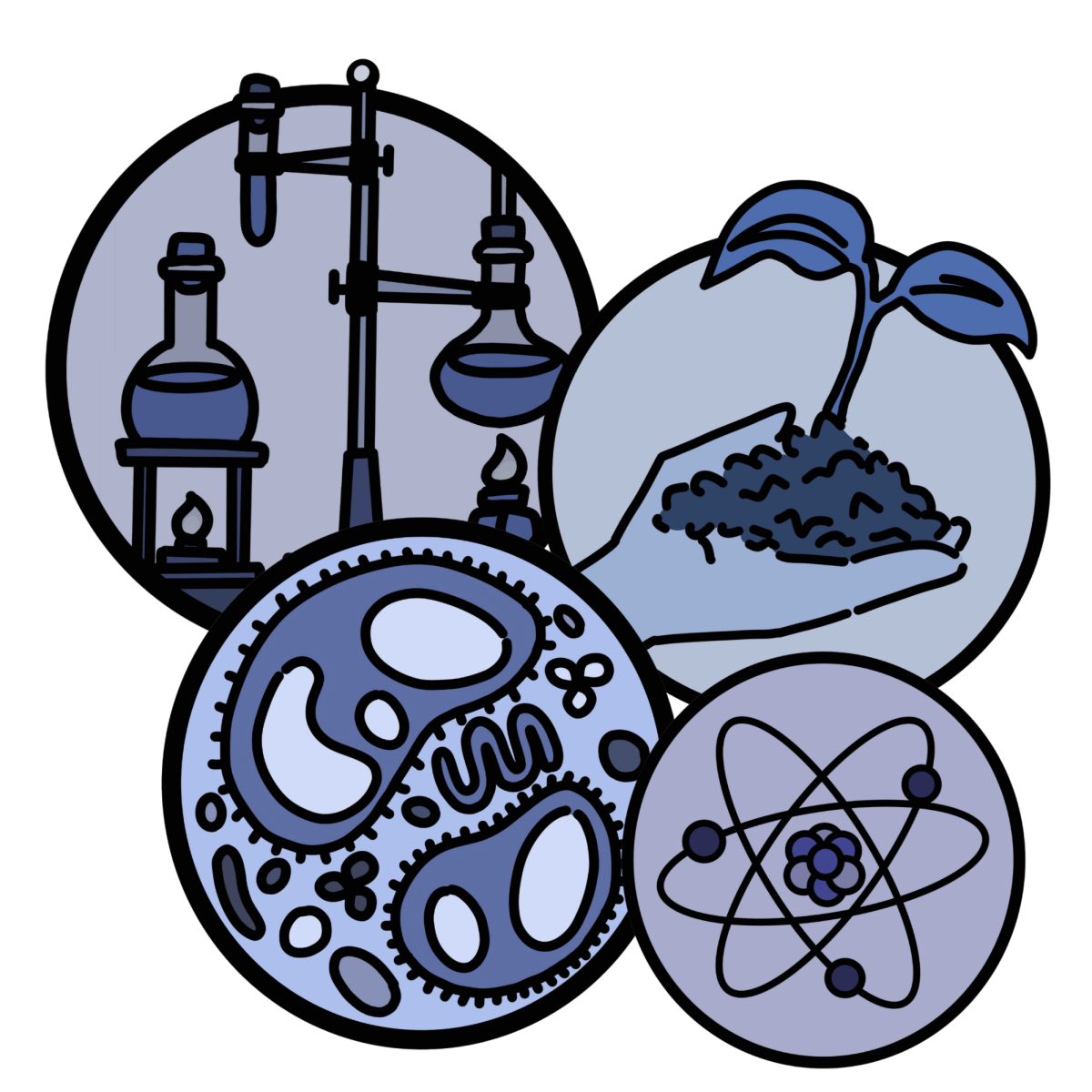 Illustrated icons that represent the different kinds of AP classes students can take.