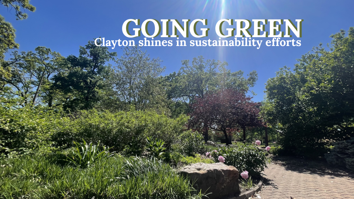 Sunlight filters through vibrant spring leaves in St. Louis’ Shaw Park.