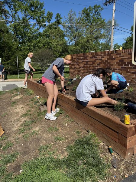 Society of Women Engineers members plant native shrubs in a garden bed outside of Captain Elementary School.
